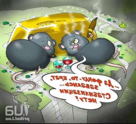 фотоприкол